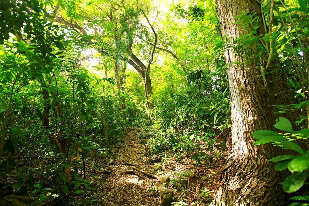 Pousada Do Vale Fernando de Noronha Buitenkant foto